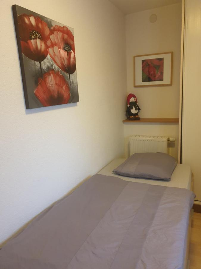 Appartement Proche D'Europa Park/Marches De Noel Rhinau 外观 照片