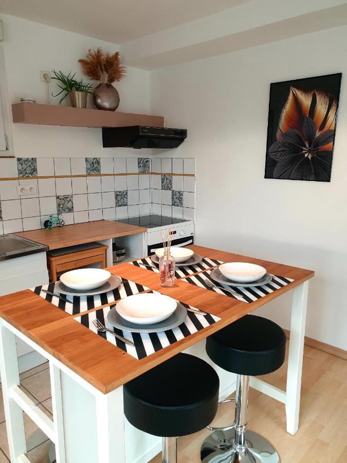Appartement Proche D'Europa Park/Marches De Noel Rhinau 外观 照片