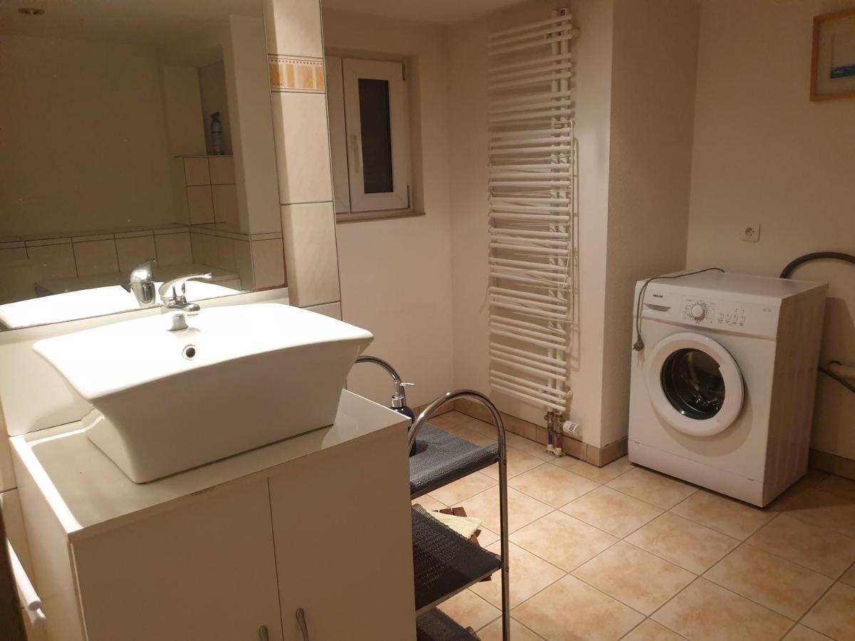 Appartement Proche D'Europa Park/Marches De Noel Rhinau 外观 照片